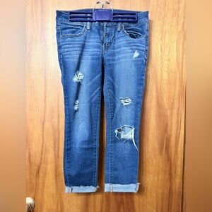 American Eagle Capri Jegging